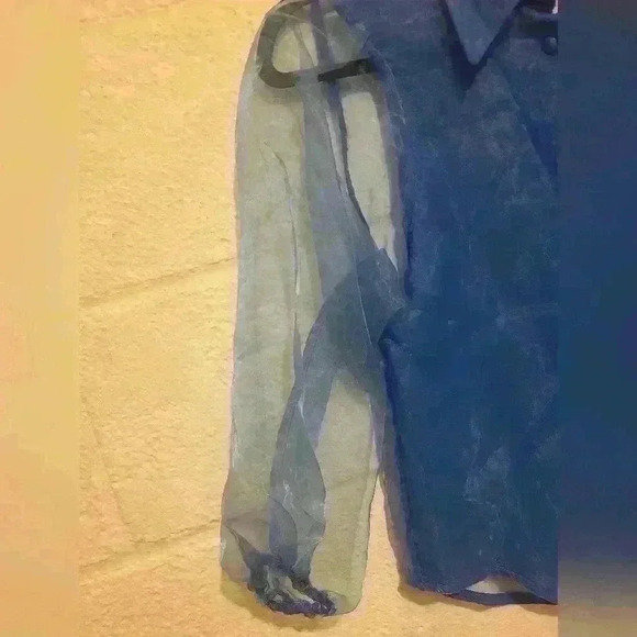 NWT Brach Brach Women's Sheer Blue Button-Up Blouse – Size XS - Picture 5 of 9